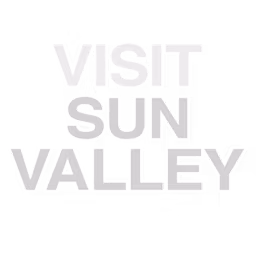 VSV company logo